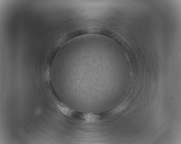 X0000076070336200609221203