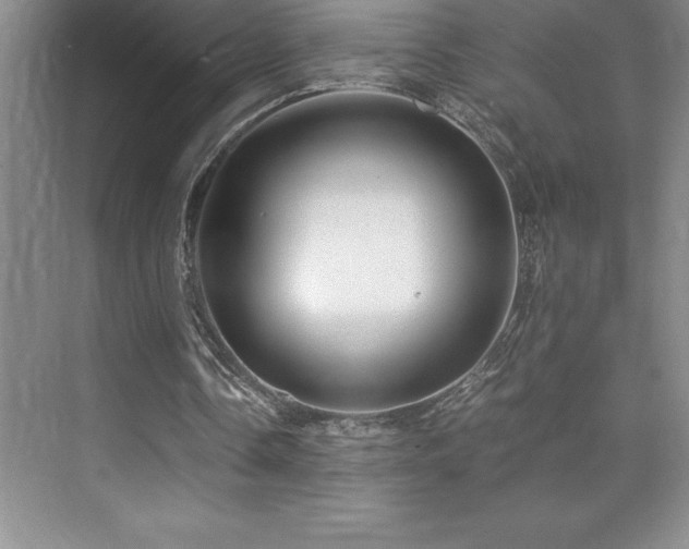 X0000076070338200609221202