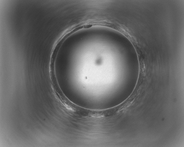 X0000076070340200609221202