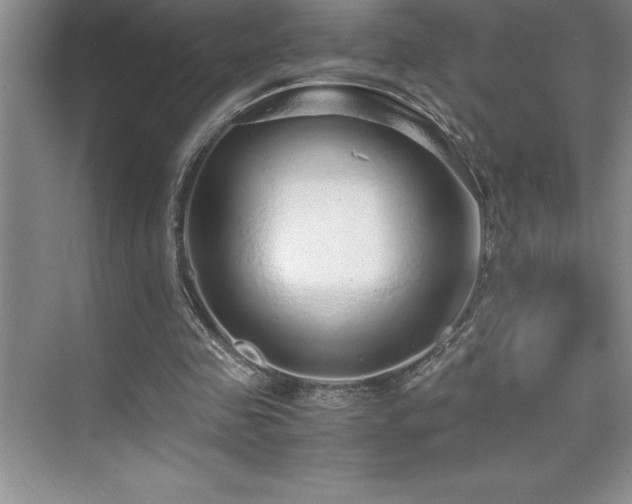 X0000076070341200609221202