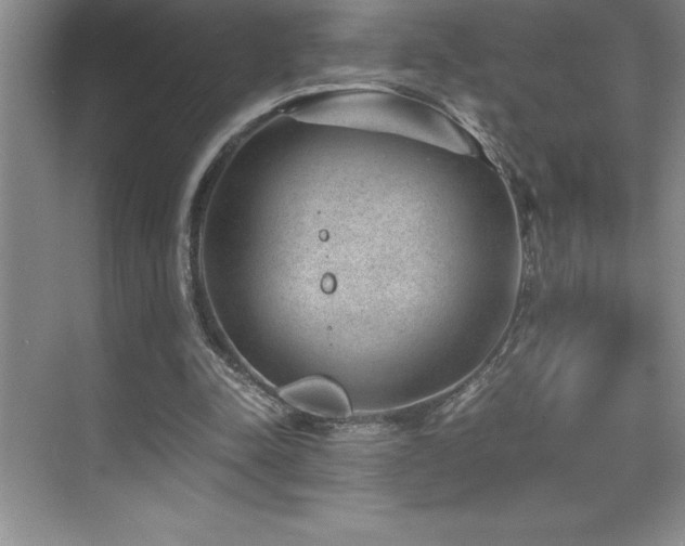 X0000076070342200609221202