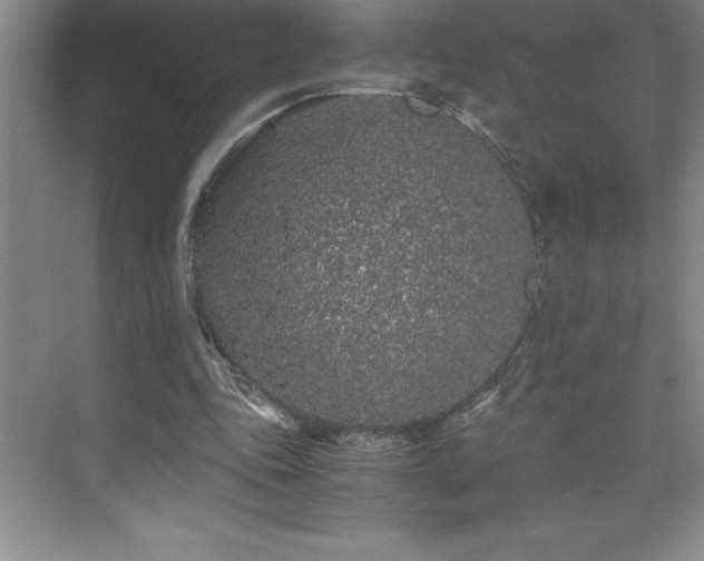 X0000076070343200609221202