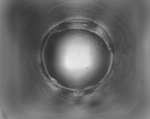 X0000076070345200609221202