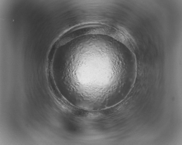 X0000076070346200609221202