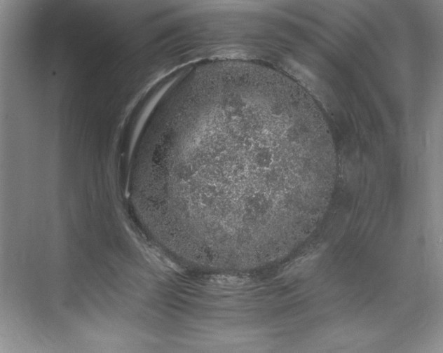 X0000076070347200609221202