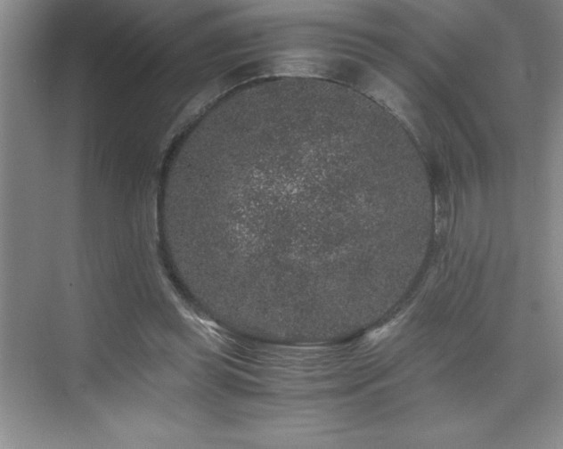 X0000076070349200609221202