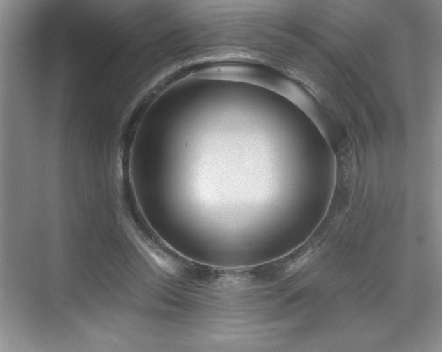 X0000076070350200609221202