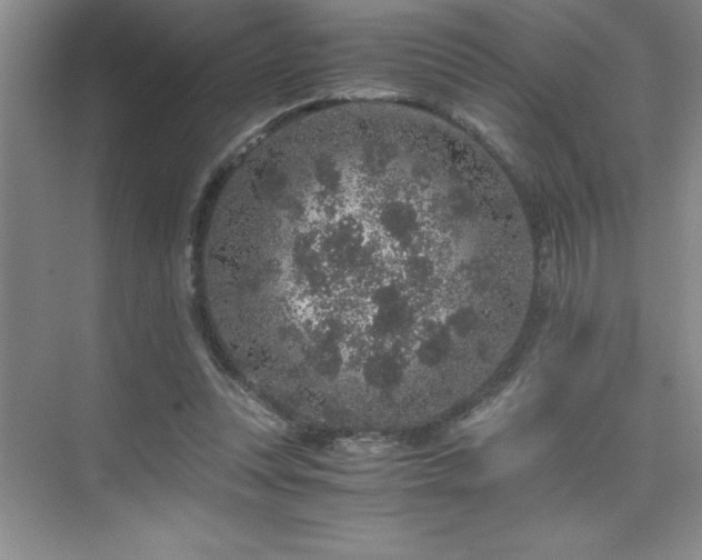 X0000076070351200609221202