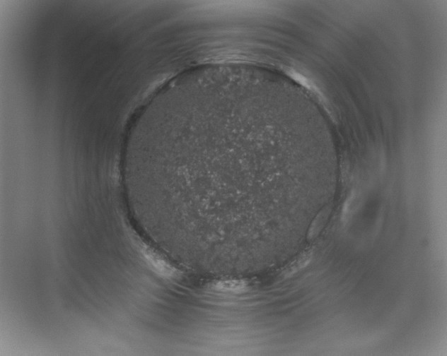 X0000076070353200609221202