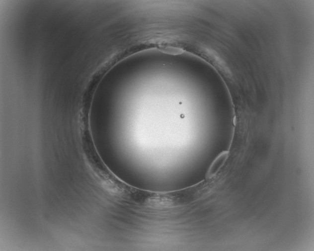 X0000076070354200609221202