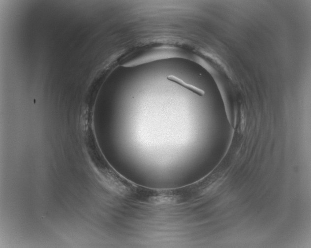 X0000076070356200609221202