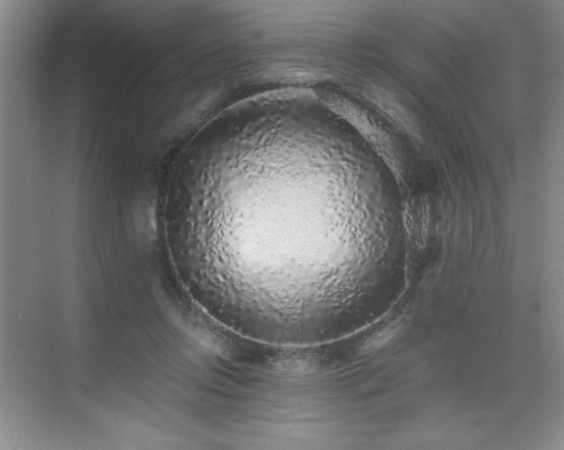 X0000076070358200609221202