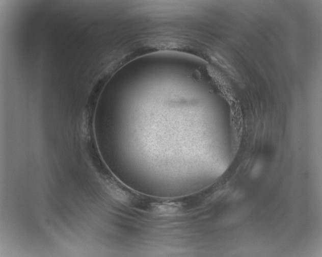 X0000076070359200609221202