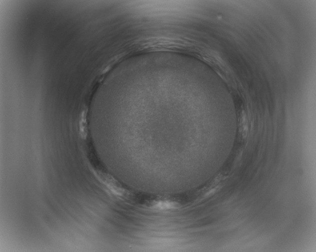 X0000076070360200609221202