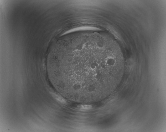 X0000076070361200609221202