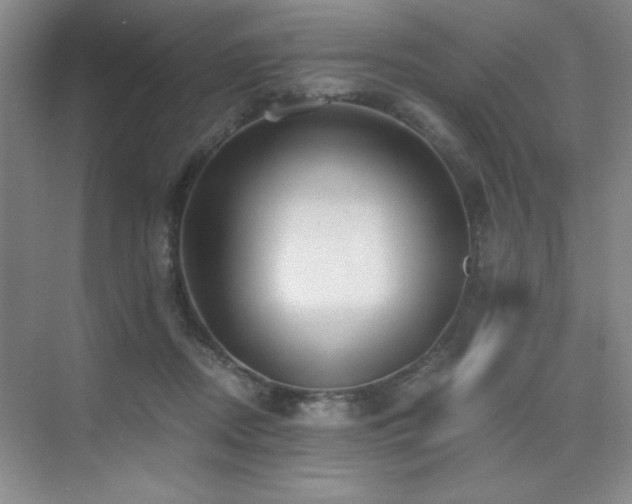 X0000076070362200609221202