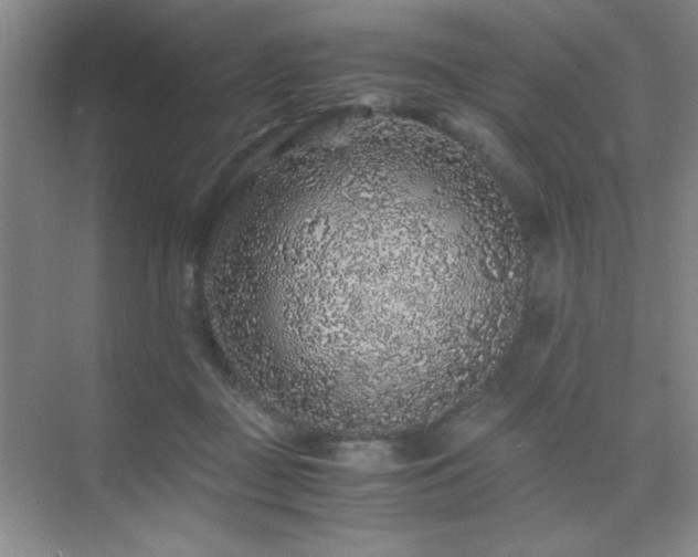 X0000076070363200609221202