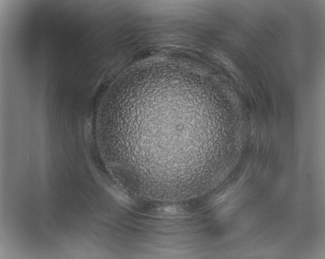 X0000076070365200609221202