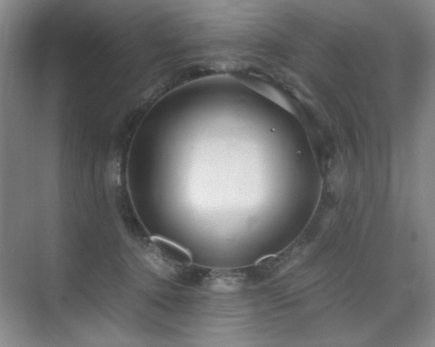 X0000076070368200609221202