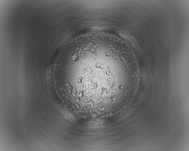 X0000076070369200609221202