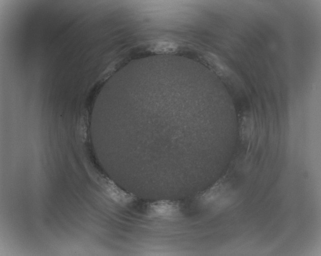 X0000076070370200609221202