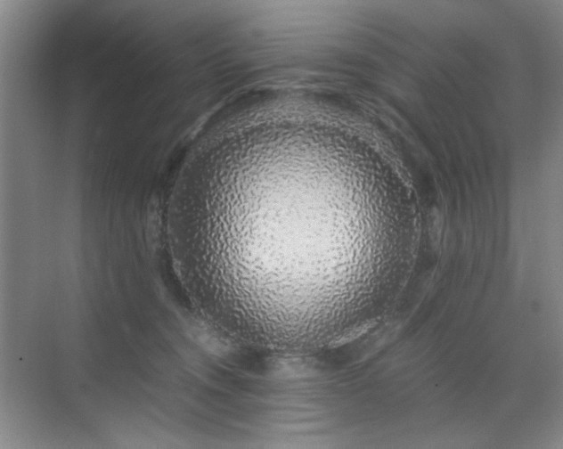 X0000076070372200609221202