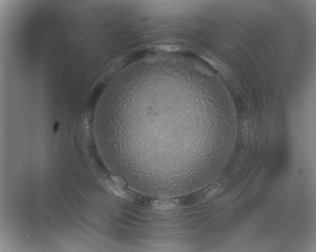 X0000076070373200609221203