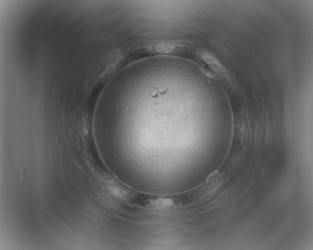 X0000076070374200609221203