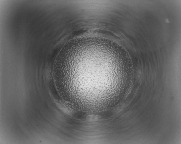 X0000076070376200609221203