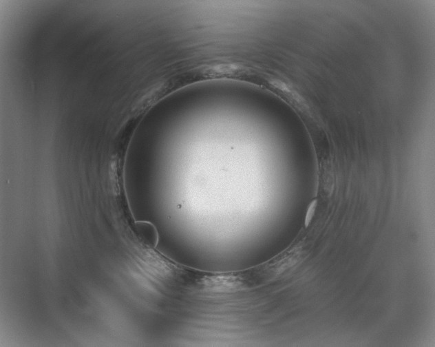 X0000076070378200609221203