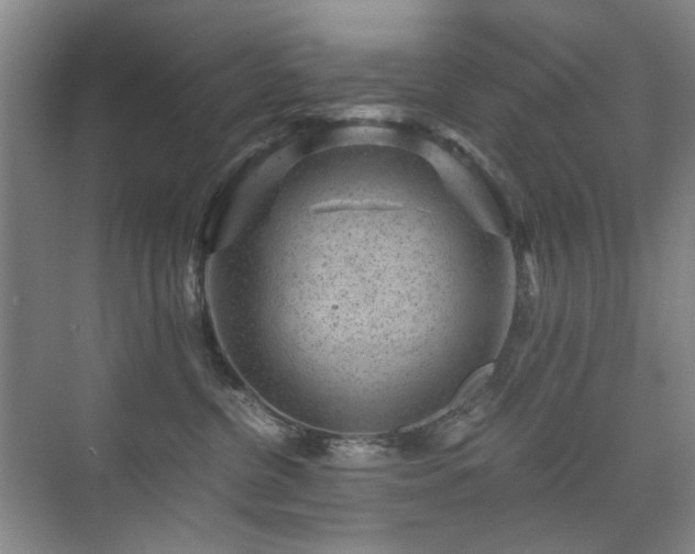 X0000076070380200609221203