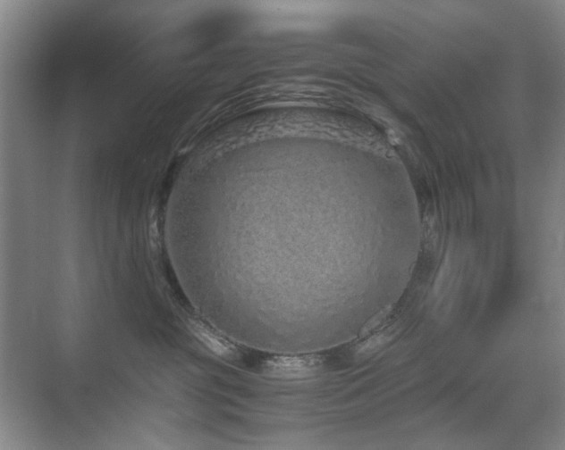 X0000076070381200609221203