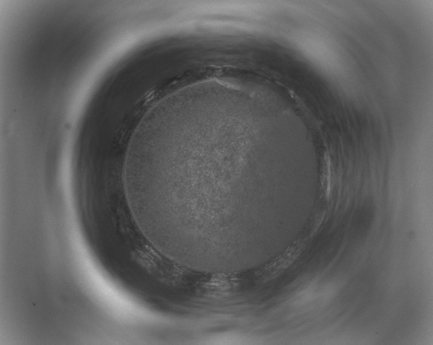 X0000076070383200609221203