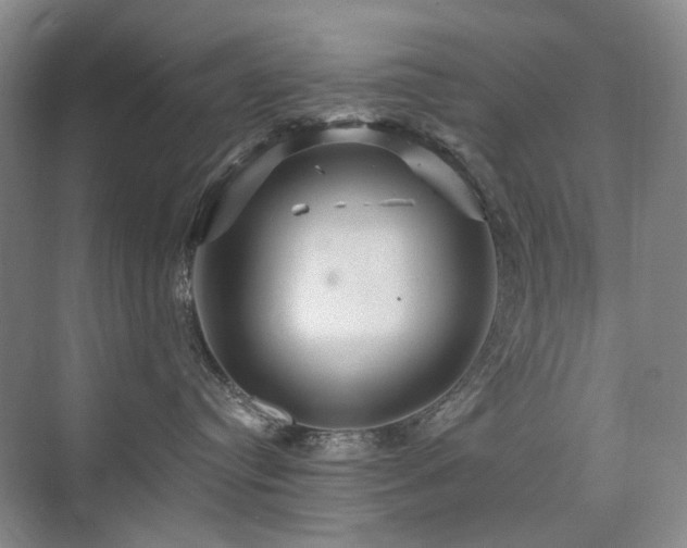 X0000076070384200609221203