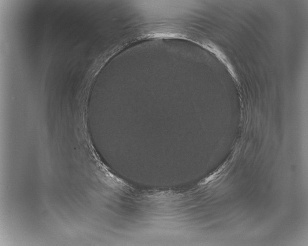 X0000076070385200609221202