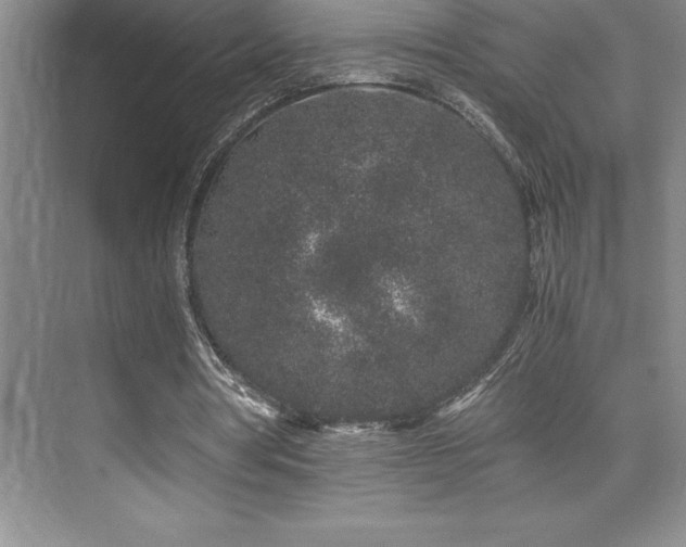 X0000076070386200609221202