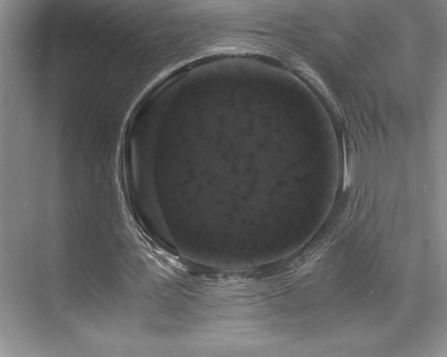 X0000076070387200609221202