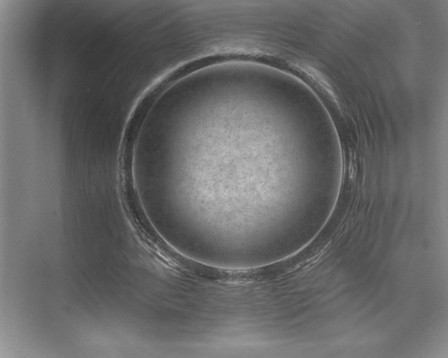 X0000076070388200609221202