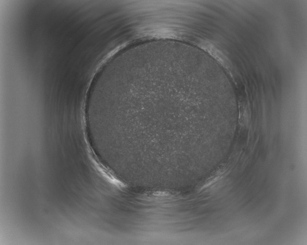 X0000076070390200609221202