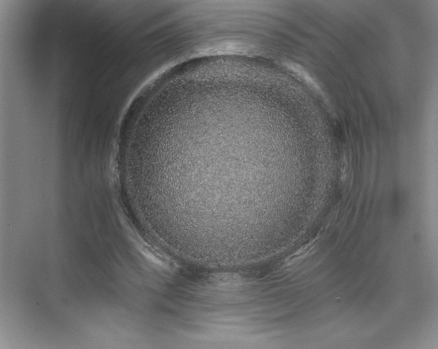 X0000076070392200609221202