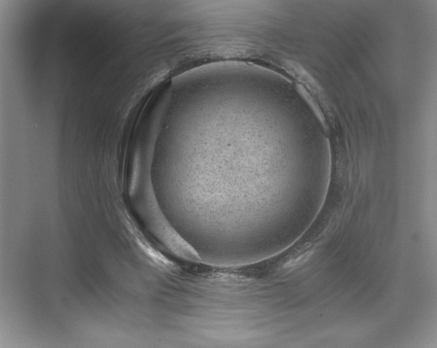 X0000076070393200609221202