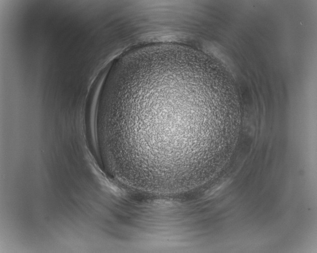 X0000076070394200609221202