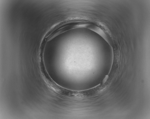 X0000076070395200609221202