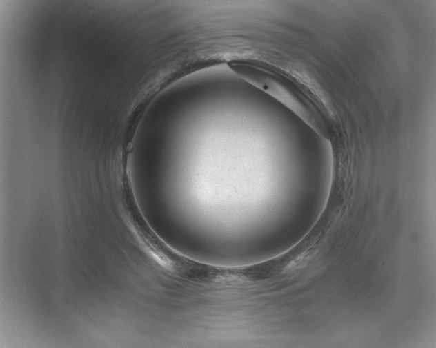 X0000076070397200609221202