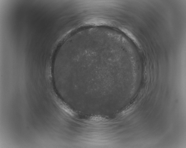 X0000076070399200609221202