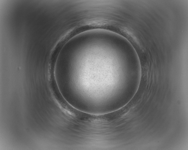 X0000076070400200609221202