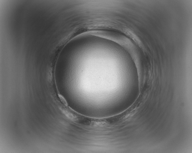 X0000076070401200609221202