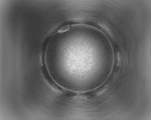 X0000076070404200609221202