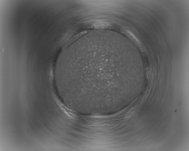 X0000076070405200609221202