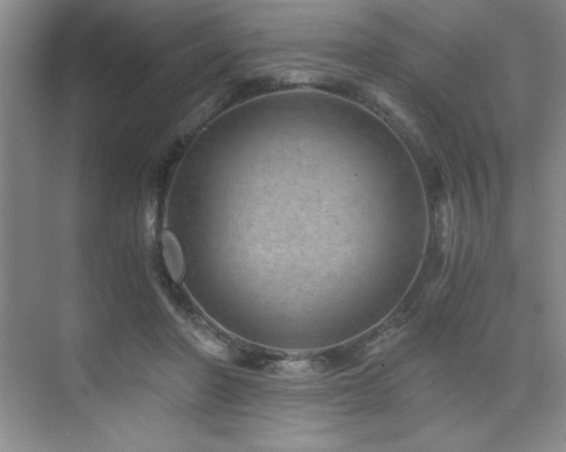 X0000076070406200609221202